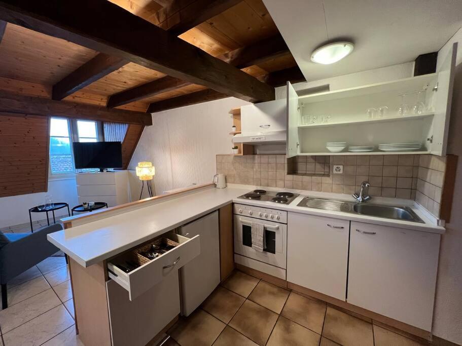 Charmant Appartement En Duplex A Porrentruy Eksteriør bilde